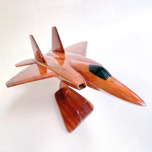 F-22 Raptor