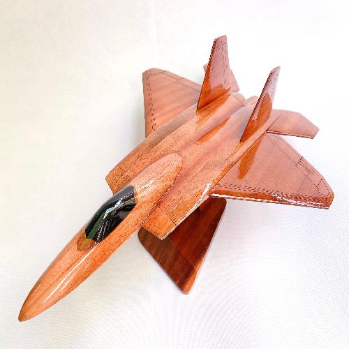 F-22 Raptor