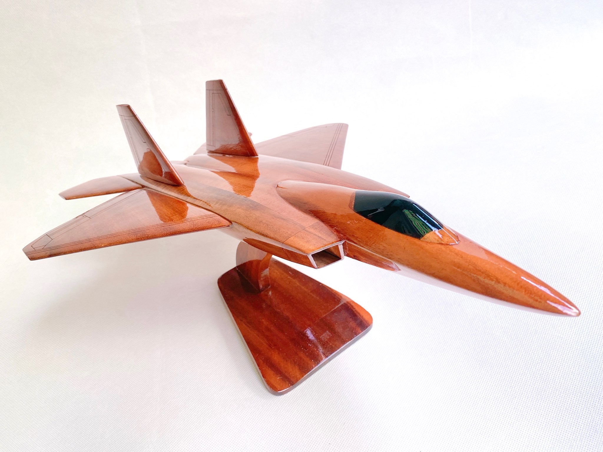F-22 Raptor