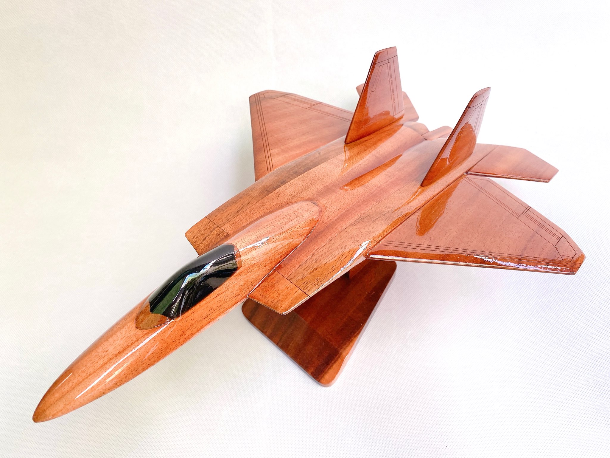 F-22 Raptor