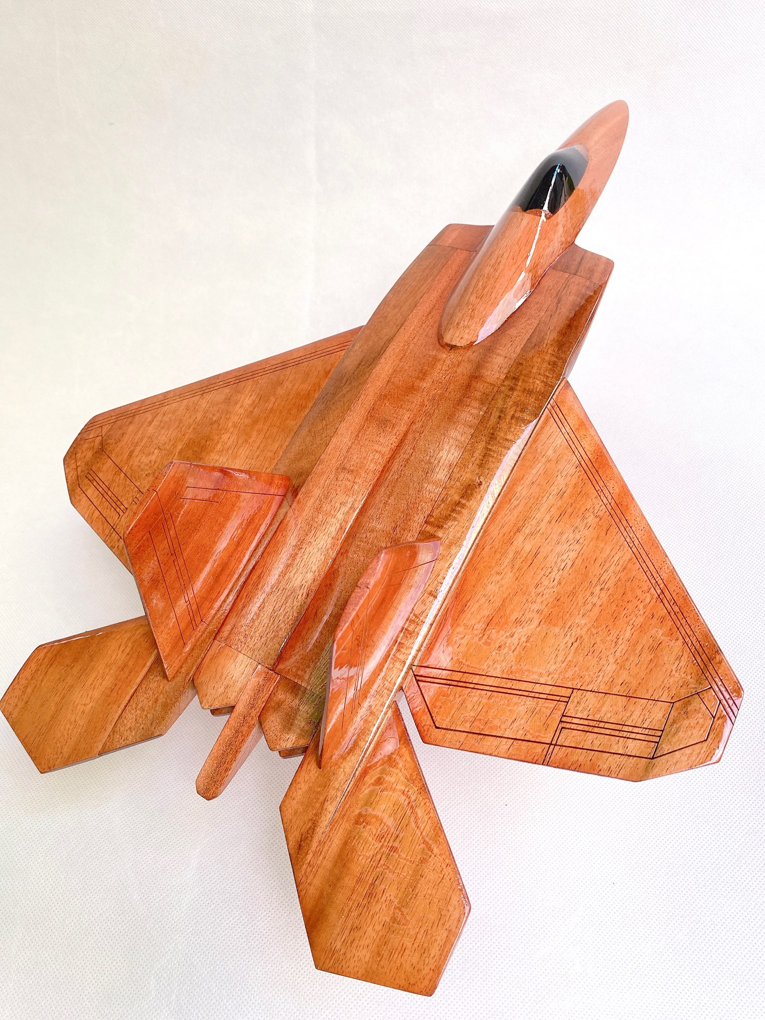 F-22 Raptor